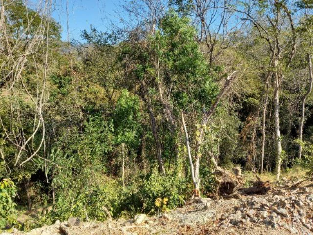 Building Lots for sale in a pristine and peacefull woodland 3 km from Samara Beach - Gallery image 4
