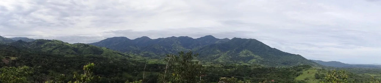 Agricultural Land For Sale in Turrubares - Gallery image 10