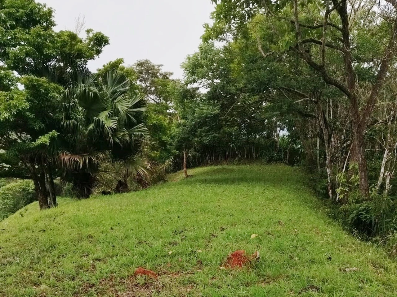Beautiful Farm in La Guaria with Endless Opportunities! - Gallery image 4