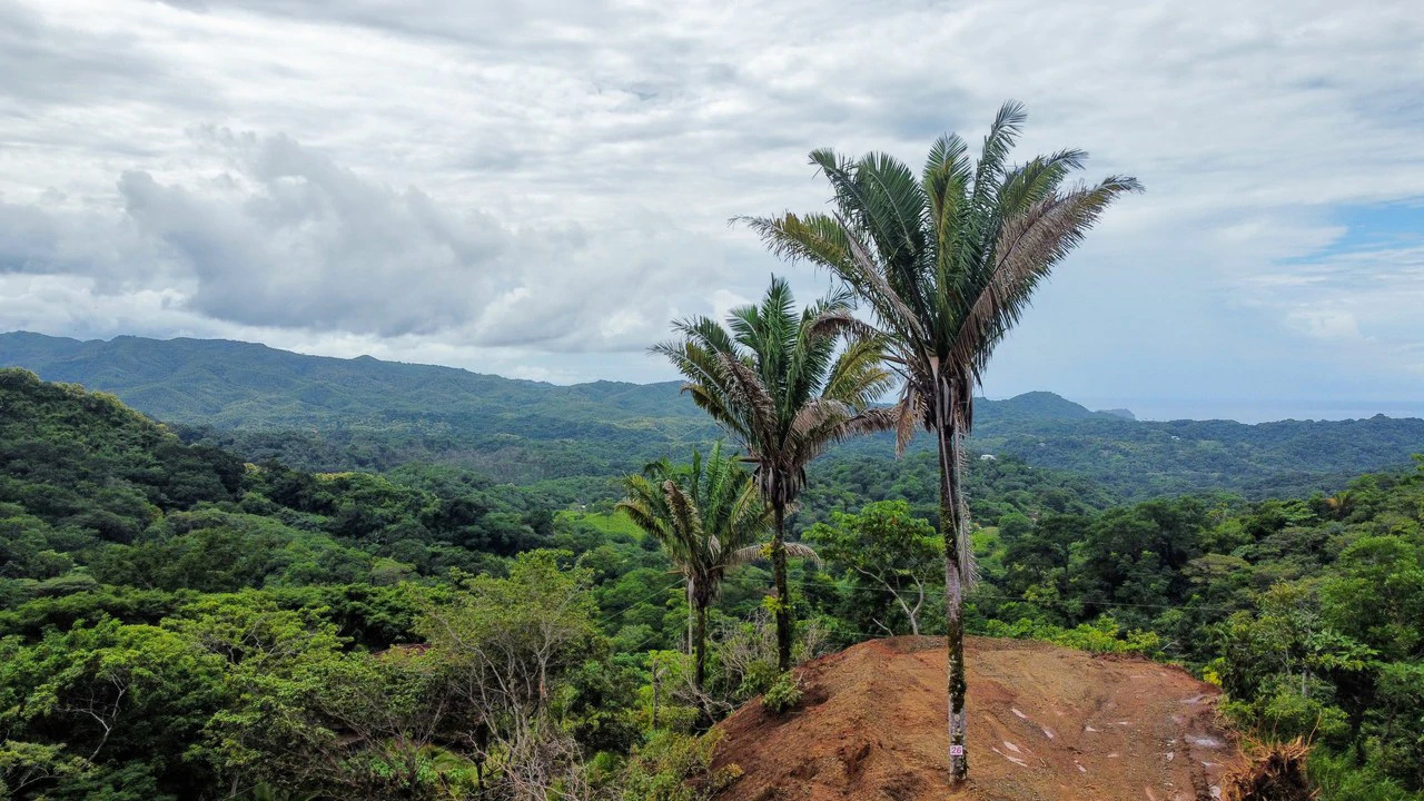 Montana Estate #26: Mountain Home Construction Site For Sale in Playa Samara - Gallery image 7