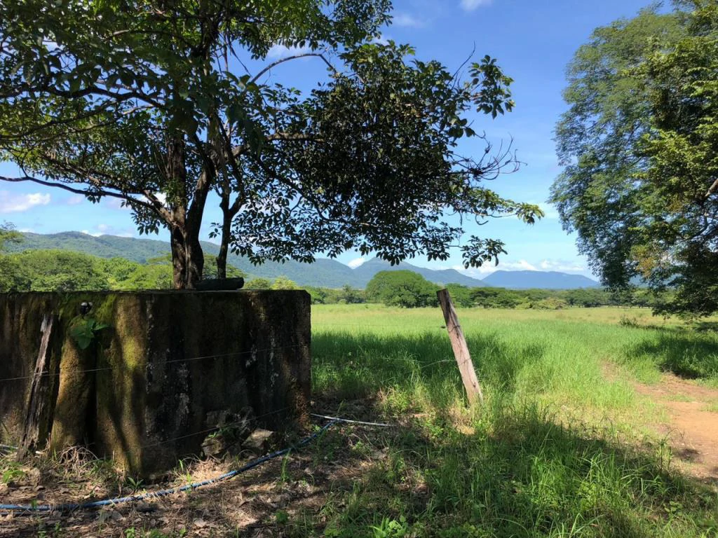 Huge dream Cattle farm for sale with 2 houses close to the Gulf of Nicoya, Guanacaste, Costa Rica - Gallery image 23