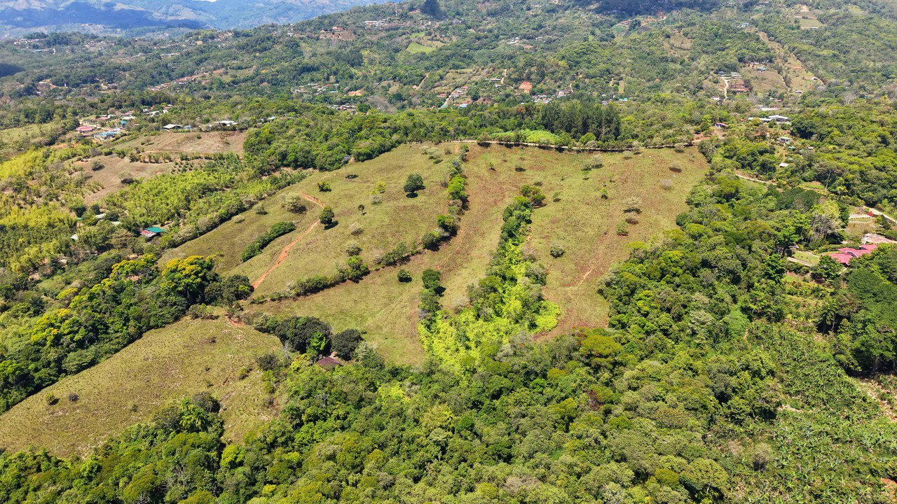 Agricultural Land For Sale in MORAZAN - Gallery image 5