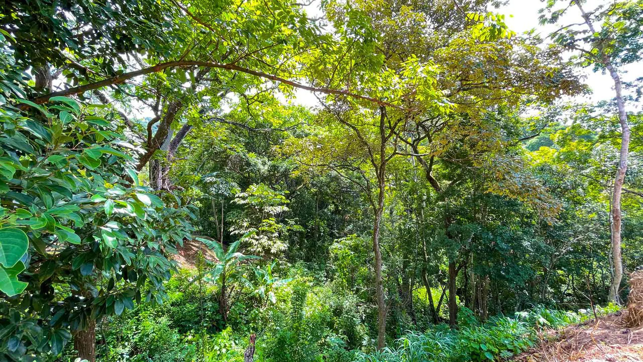 New Home for Sale in Atenas, Costa Rica with Private Pool and Tropical Surroundings - Gallery image 23