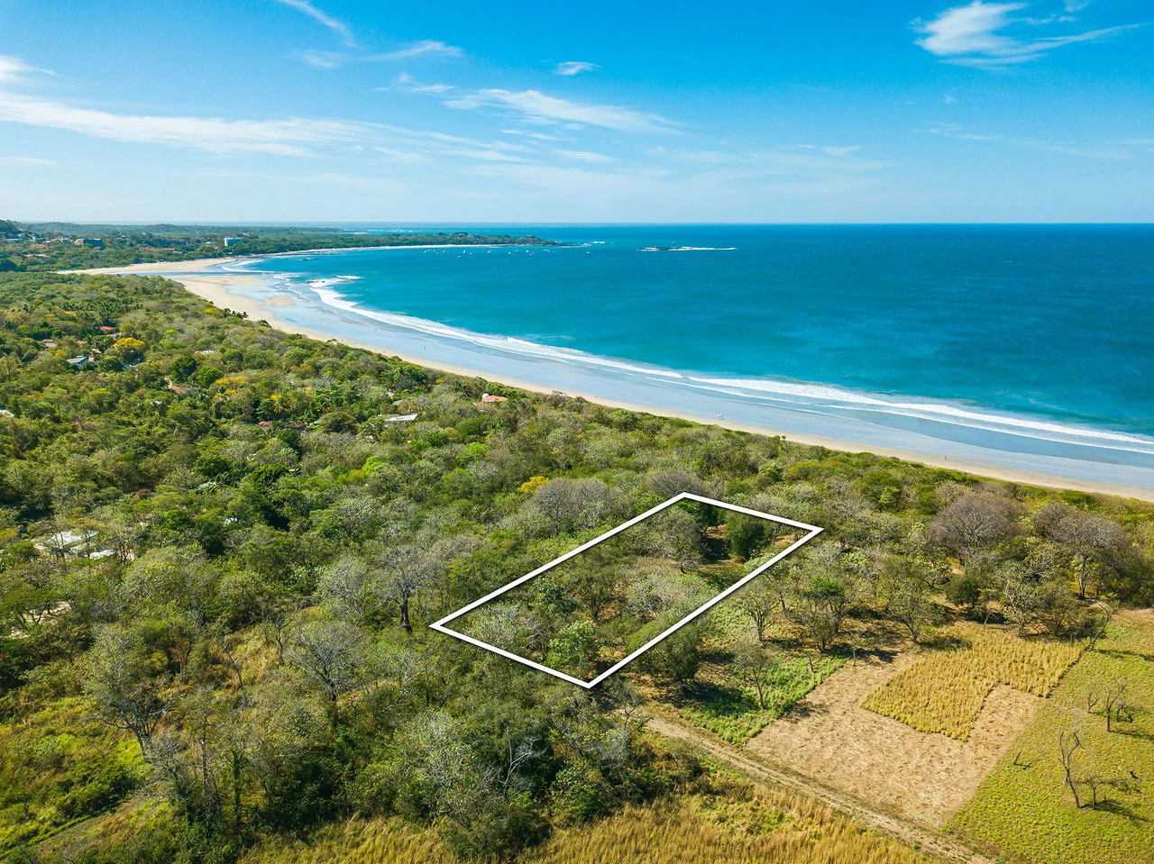 Playa Grande Lot #1: Titled Beachfront Estate Lot Playa Grande - Gallery image 4