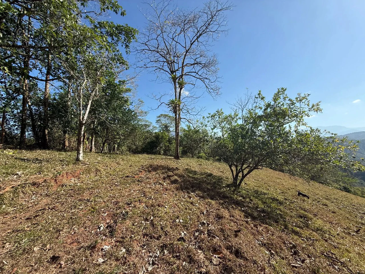 11.4 Hectare Mountain Estate: Lush Forest, River & Farm Potential in Arenal Puriscal , San Jose - Gallery image 2