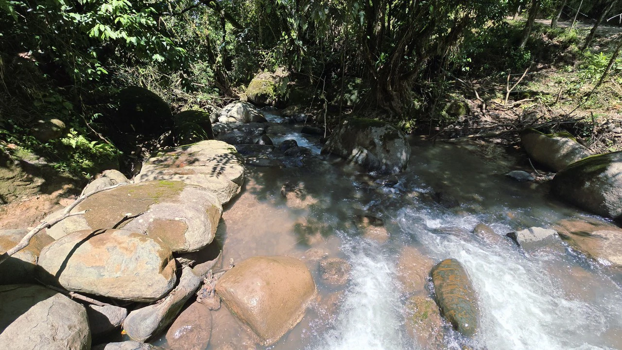 FINCA EN MIRAFLORES: Mountain Agricultural Land For Sale in El General - Gallery image 9