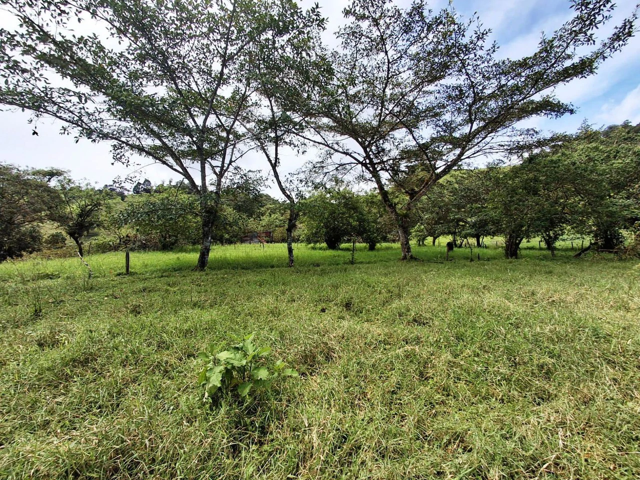 INVESTOR & DEVELOPER ALERT: High-Visibility Investment Property in the Heart of Tourist-Friendly Zarcero - Gallery image 4