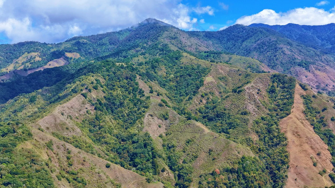 Mountain Agricultural Land For Sale in Herradura - Gallery image 5
