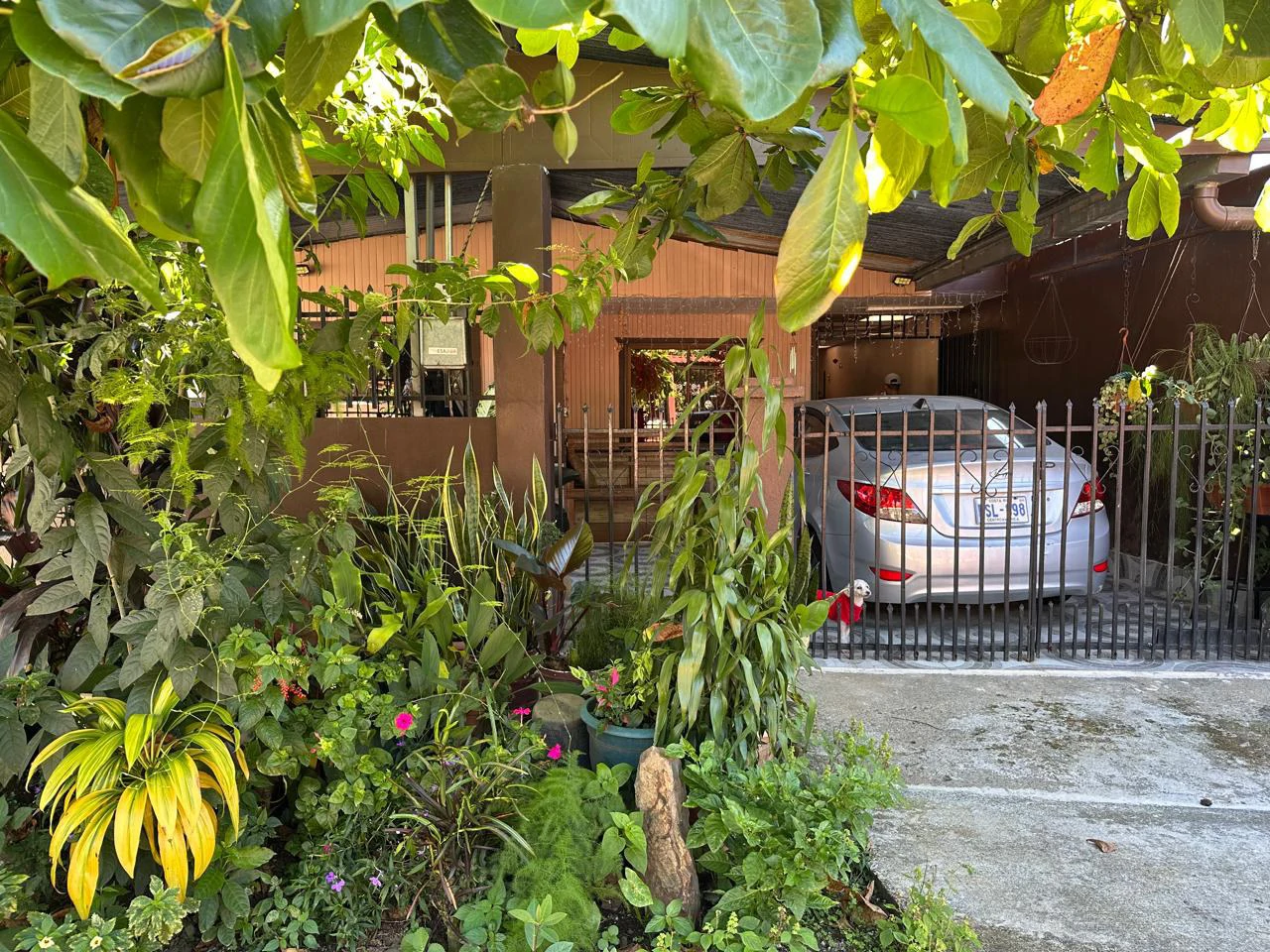 House For Sale in Villa Ligia - Gallery image 2