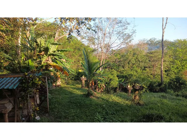 Stunning Dream Home and Pool with Separate cute smart Apartment building for Sale Surrounded by lush nature in the soft rolling hills of Hojancha - Gallery image 9