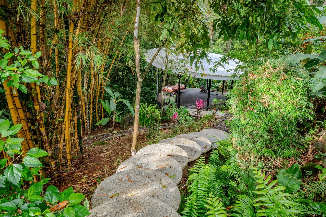 The Glass House. Sustainability, Luxury and Nature. - Gallery image 53