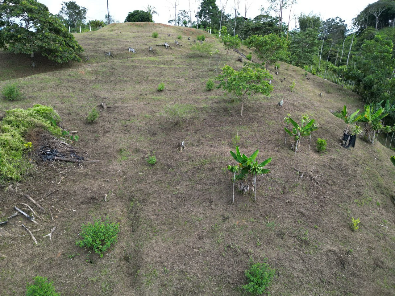 1.35 ACRES – Gorgeous View To The Valley, Mountain And City With A Large Building Site, Two Legal Water Sourses Ready To Build!!!: Mountain and Countryside Home Construction Site For Sale in San Isidr - Gallery image 23