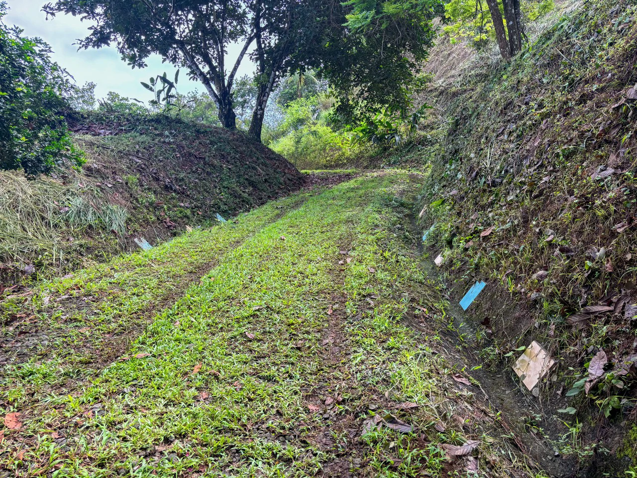 3.6 Acre Ocean View, Near the Beach & Cool Mountain Elevation: Mountain Home Construction Site For Sale in Lagunas - Gallery image 11