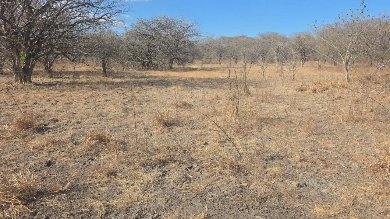 Huge Commercial Property Near Liberia Airport, Guanacaste, Costa Rica - Gallery image 6