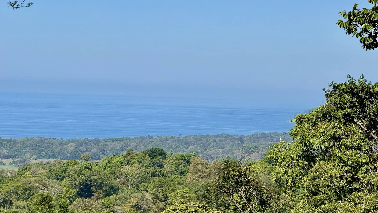 Unique Opportunity, Panoramic Ocean Views of the Whale's Tail Beach! - Gallery image 8