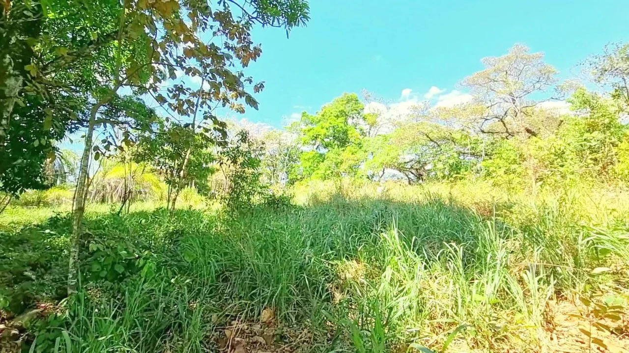 Lot for sale in Alegria Village: BEAUTIFUL LOT FOR SALE IN THE HEART OF ALEGRIA VILLAGE (10602 SQFT) - Gallery image 7