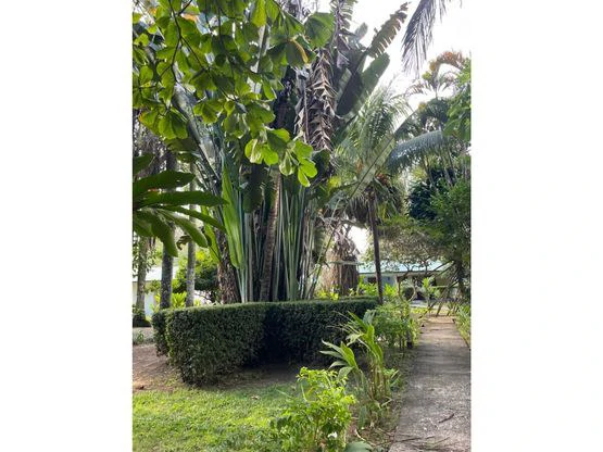 Tropical Garden Hotel Downtown Jaco - Gallery image 23