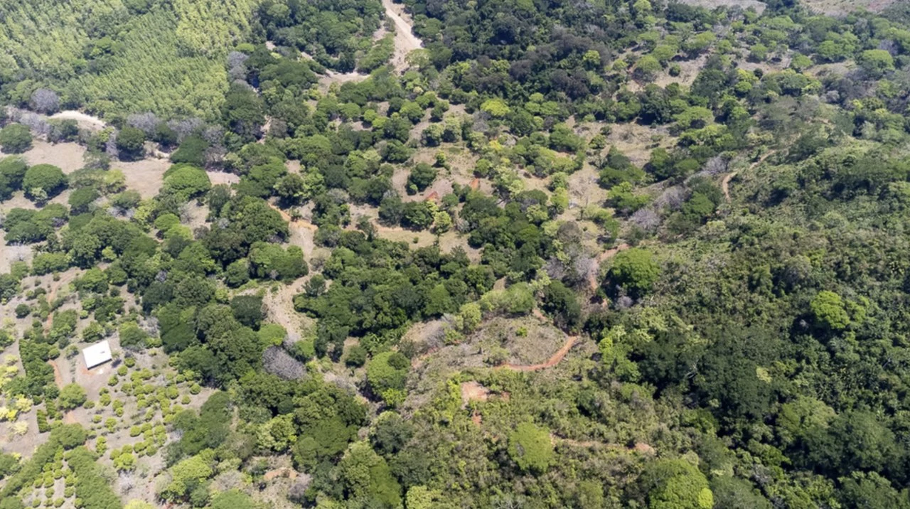 Farm for sale in Puntarenas Lepanto Costa Rica - Gallery image 6
