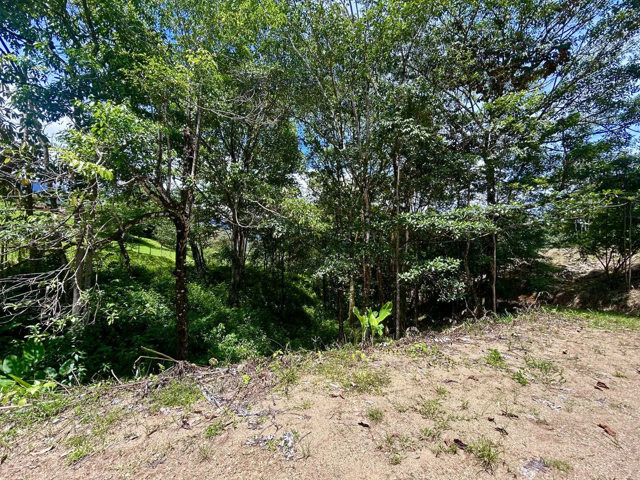 Build-Ready Lot in Ojochal’s Calle Cacique | Easy Access & Stunning Mountain Views - Gallery image 23
