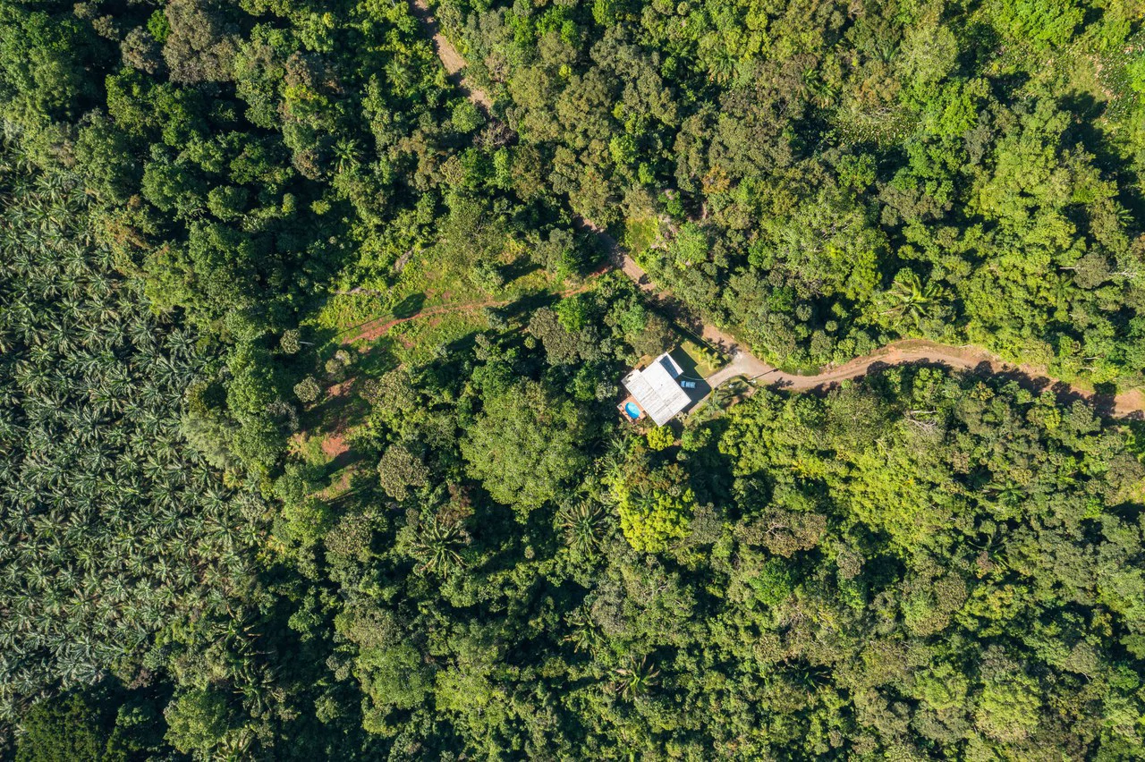Casa Fox Las Palmas: Mountain House For Sale in Quepos - Gallery image 33