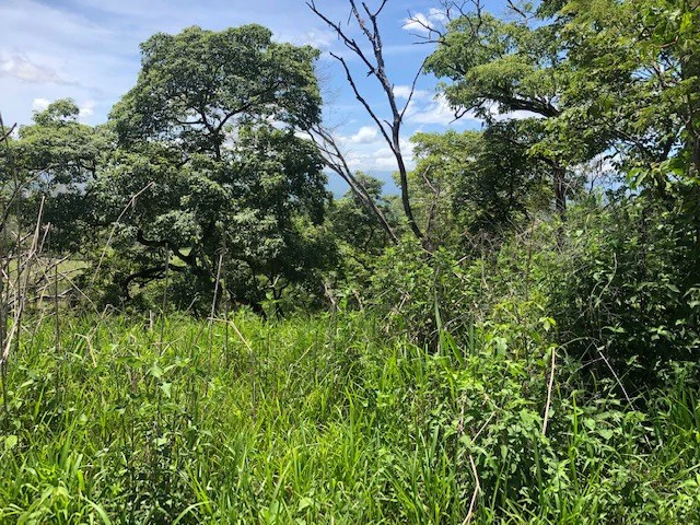 Amazing 50% discount for Huge ocean-view farm for sale surrounded by soft rolling hills and pristine nature - Gallery image 8