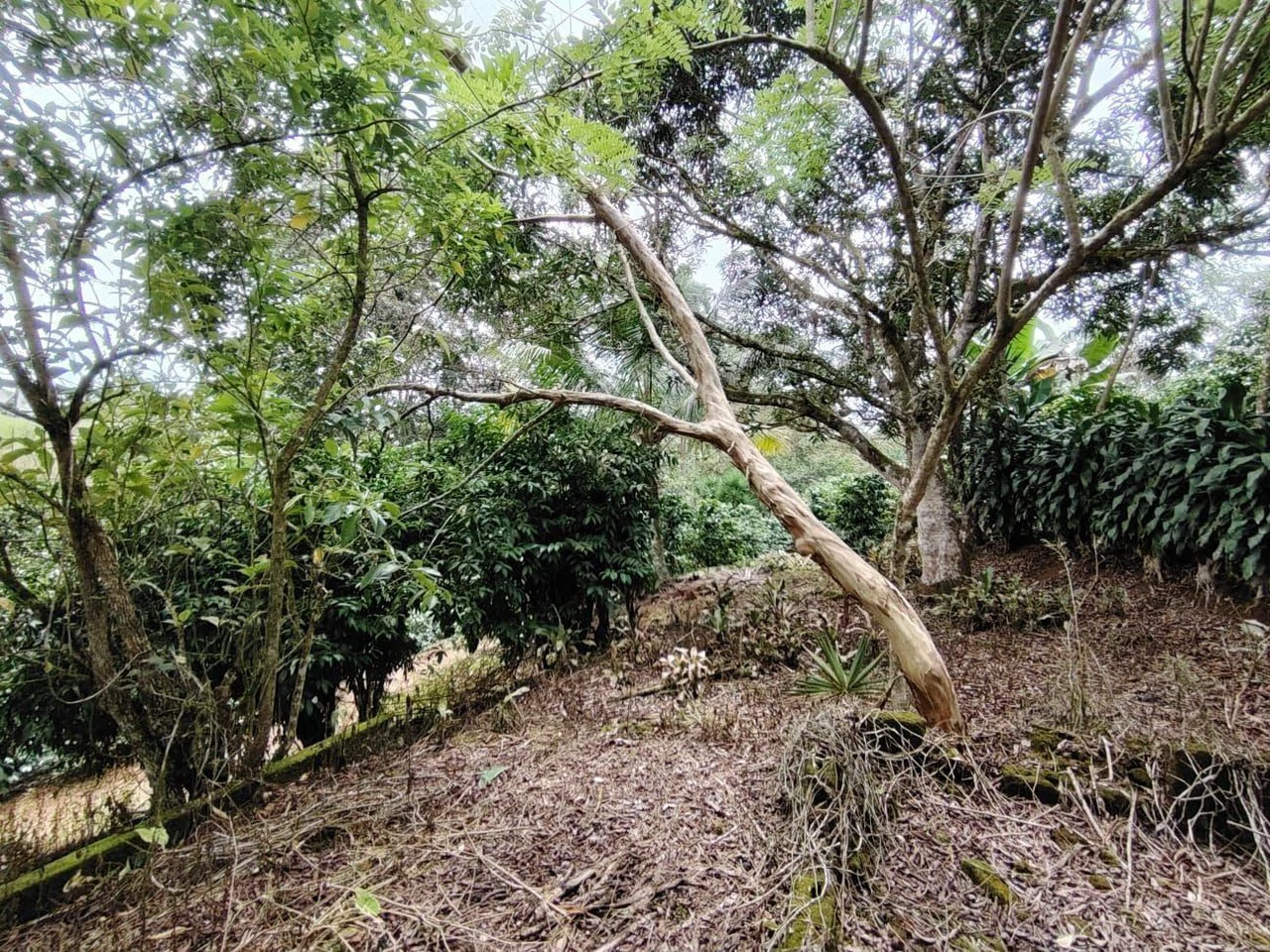 Home Construction Site For Sale in General Viejo - Gallery image 9