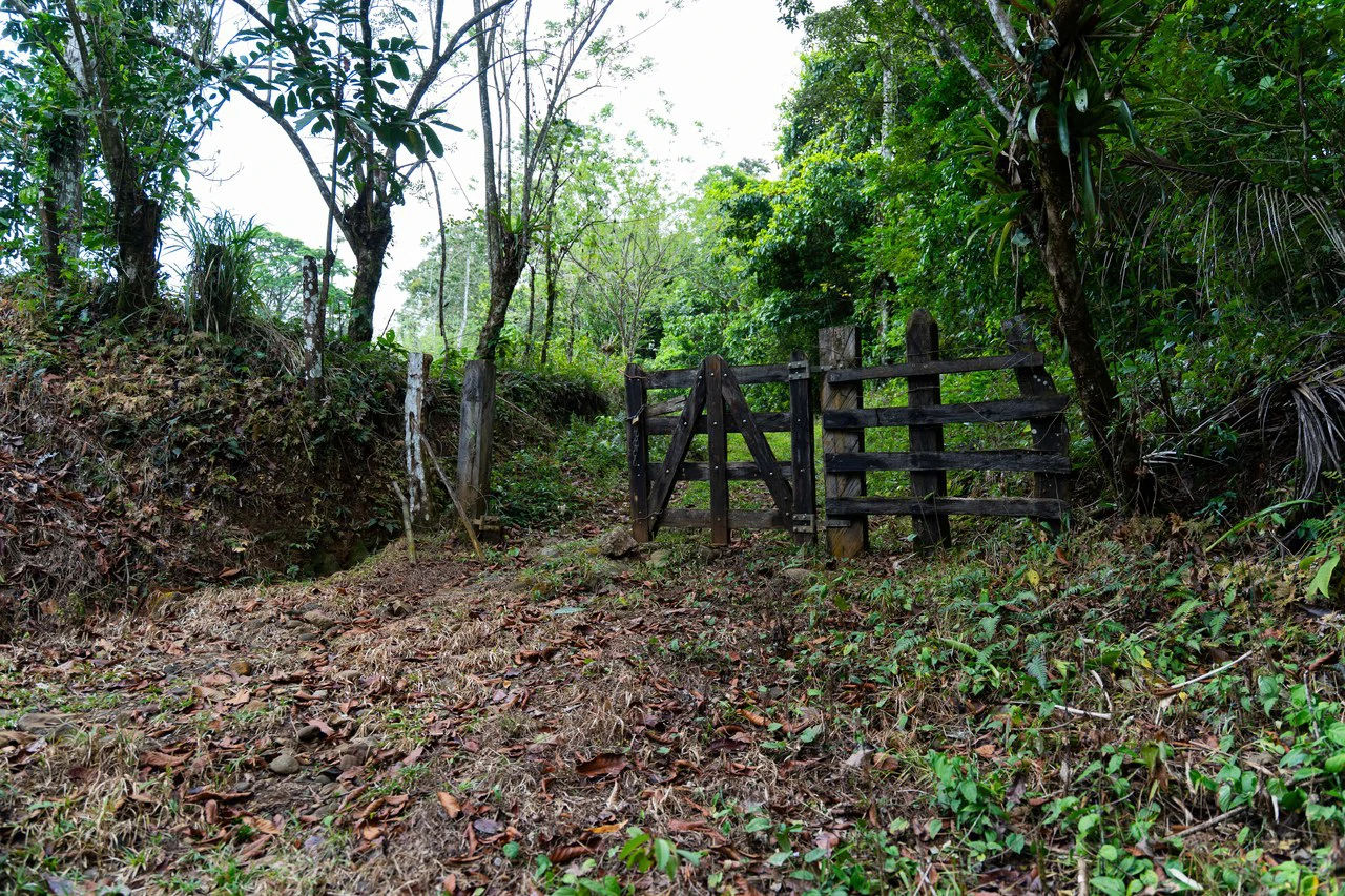 Finca Las Zompopas-Río Celeste: 113-Acre Biodiverse Property in Bijagua, Ideal for Eco-Tourism, Private Retreats, or Sustainable Development - Gallery image 8