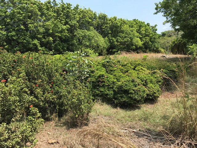 Great property in Santa Cruz: Excellent opportunity to develop in excellent location - Gallery image 3