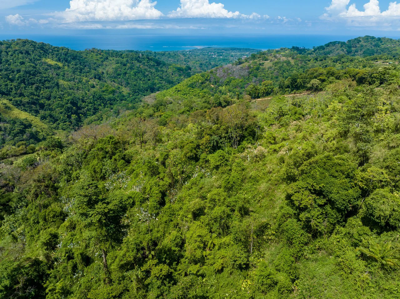101 Acre Waterfall Riverfront and Ocean View Farm in Playa Uvita - Gallery image 10