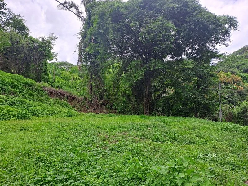 LOT SAN FERNANDO: San Fernando lot - 1024 m² building plot - affordable - flat - 10 minutes drive from Samara - Gallery image 4