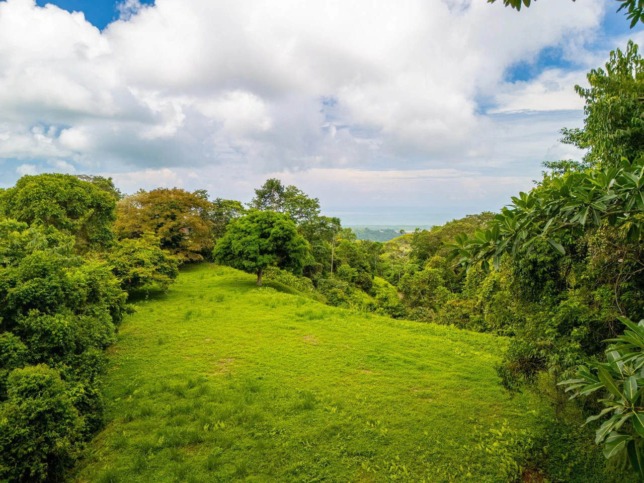 Tropical Paradise in Cascada Sándalo, Tres Ríos Ocean & Mountain Views | Gated Community | Abundant Nature - Gallery image 5