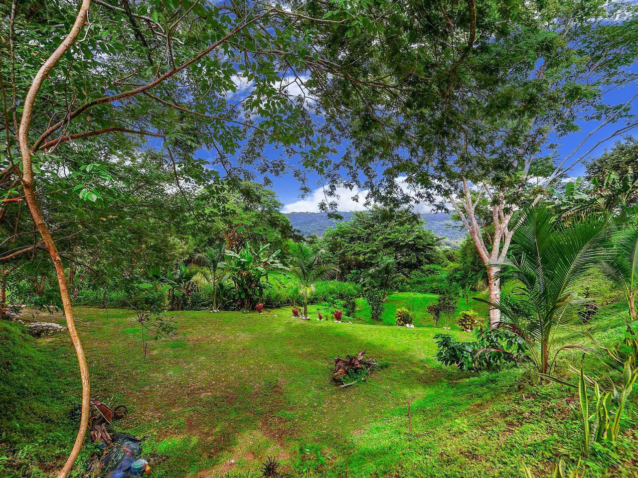 Lote Surfside - Jungle Lot mins to Surf and the River: Countryside Home Construction Site For Sale in Playa Samara - photo 11