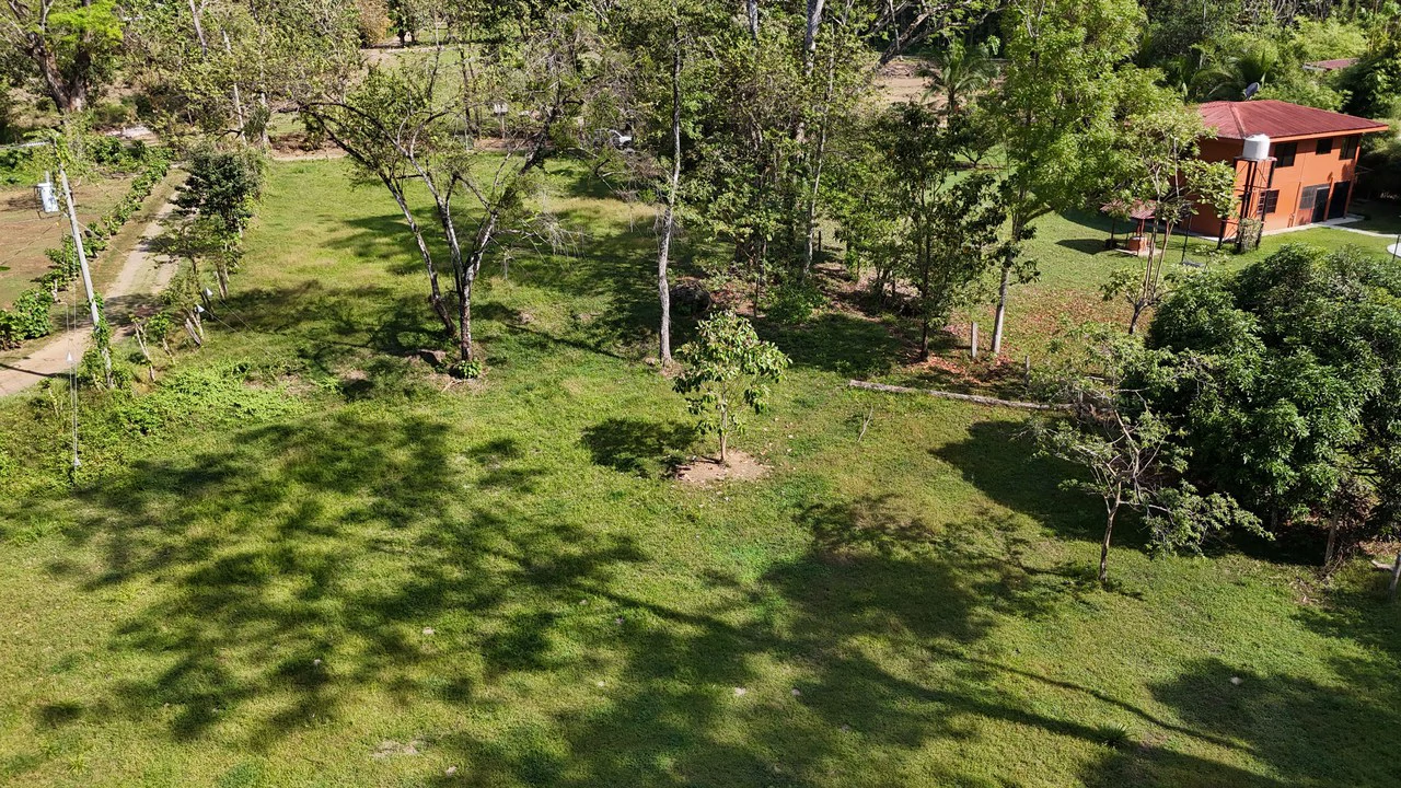 Prime Riverfront Property in Hatillo - Gallery image 7