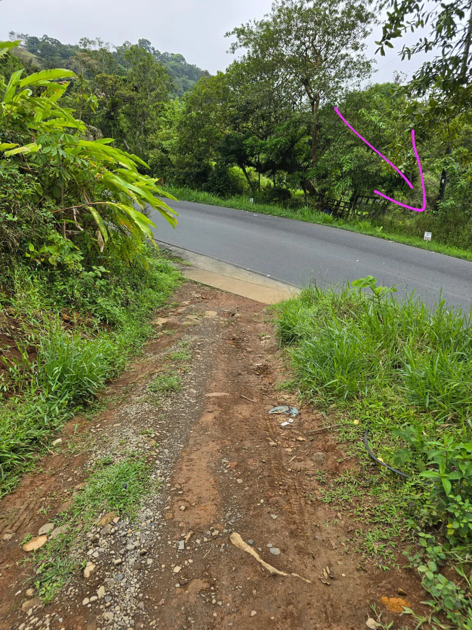 INVESTOR & DEVELOPER ALERT: High-Visibility Investment Property in the Heart of Tourist-Friendly Zarcero - Gallery image 3