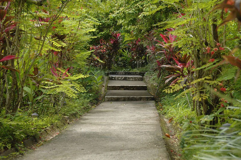 Gem 62.5 Acre Resort-Ready Estate: Oceanview Hospitality Gem 62.5 Acre Resort-Ready Estate with Operating Hotel - Gallery image 9