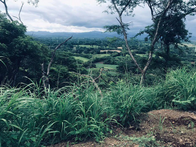 Amazing 50% discount for Huge ocean-view farm for sale surrounded by soft rolling hills and pristine nature - Gallery image 38