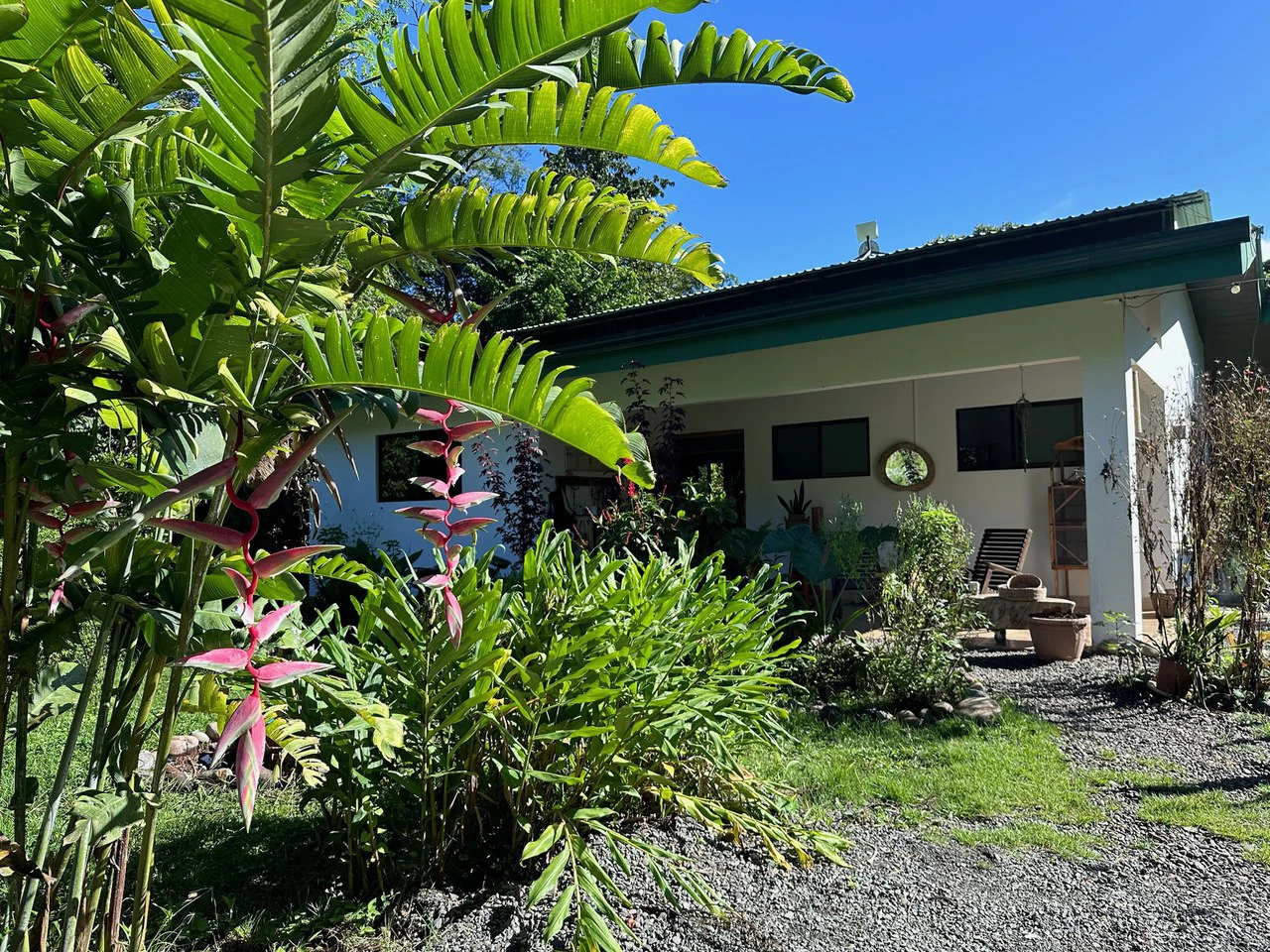 Sustainable Living Farm to Table with Home, Guest House ,Tinamastes on the River - Gallery image 3