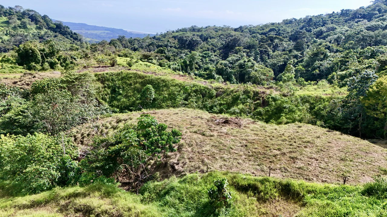 Off-Grid Ocean View Lot | 1.7 Acres in Las Nubes Matapalo Hills - Gallery image 4