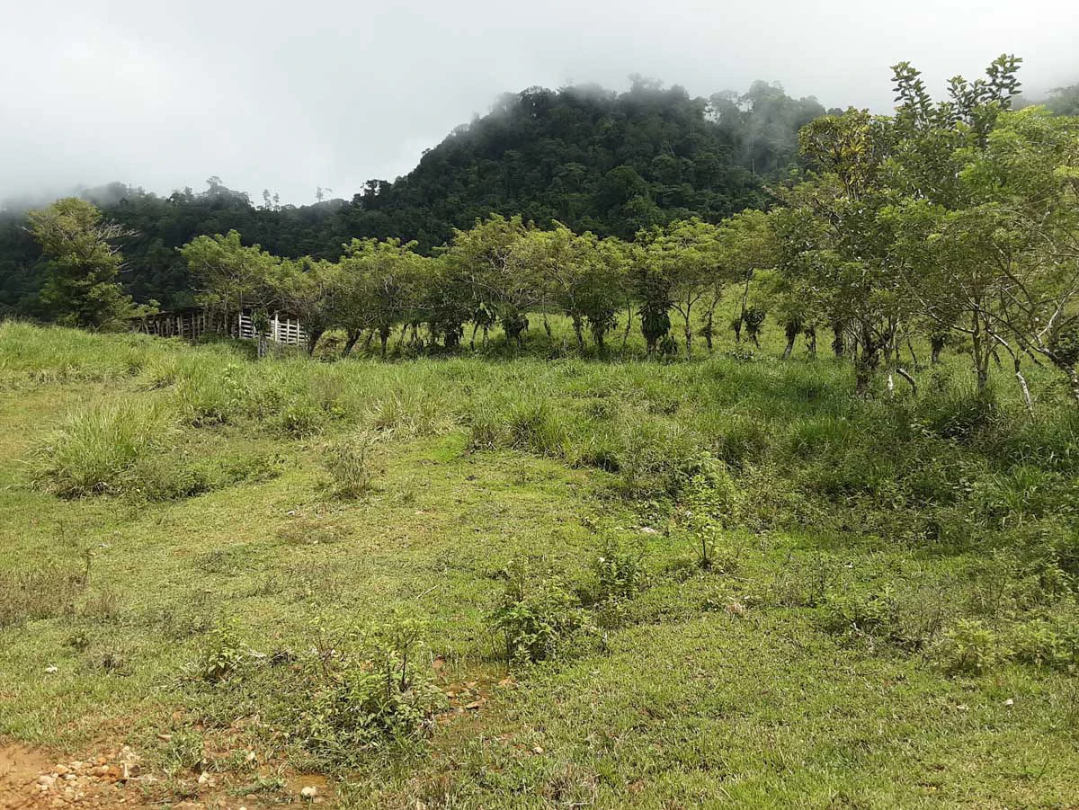 Finca Tesoro Escondido - The Jewel of Uvita - Gallery image 45