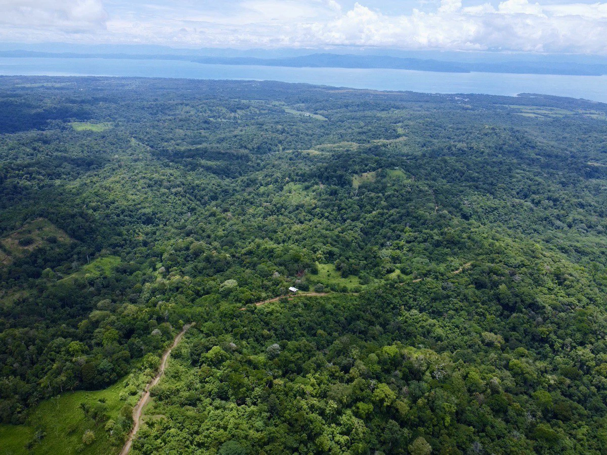 High Elevation Rainforest and Ocean View Property