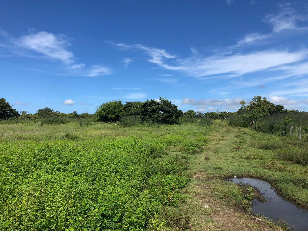 Great investment opportunity, property adjacent to Liberia Airport - Gallery image 16