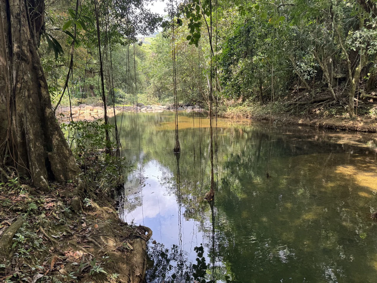 50 Acre Waterfall and River Paradise Above Dominical - Gallery image 5