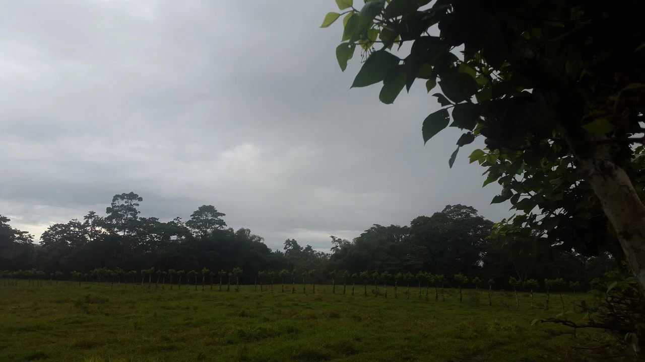 Countryside Development Parcel For Sale in Cariari - Gallery image 22
