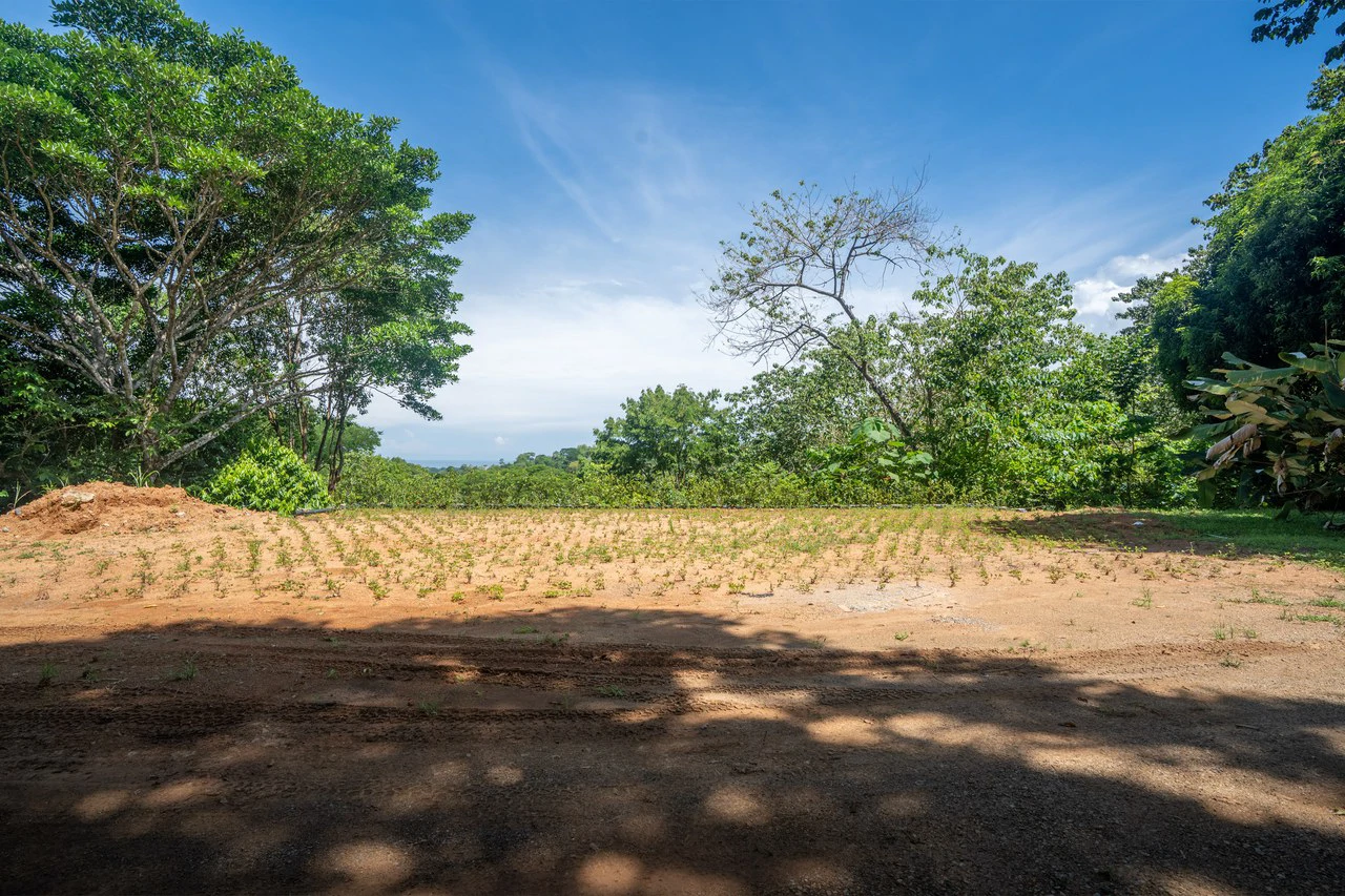 Prime Las Brisas: Mountain House For Sale in Uvita - Gallery image 27