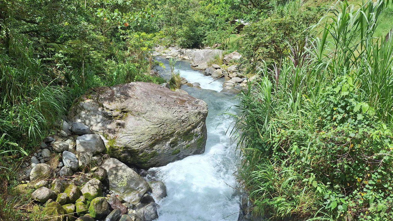 Propiedad en cedral: Mountain Home Construction Site For Sale in Cajón - Gallery image 5