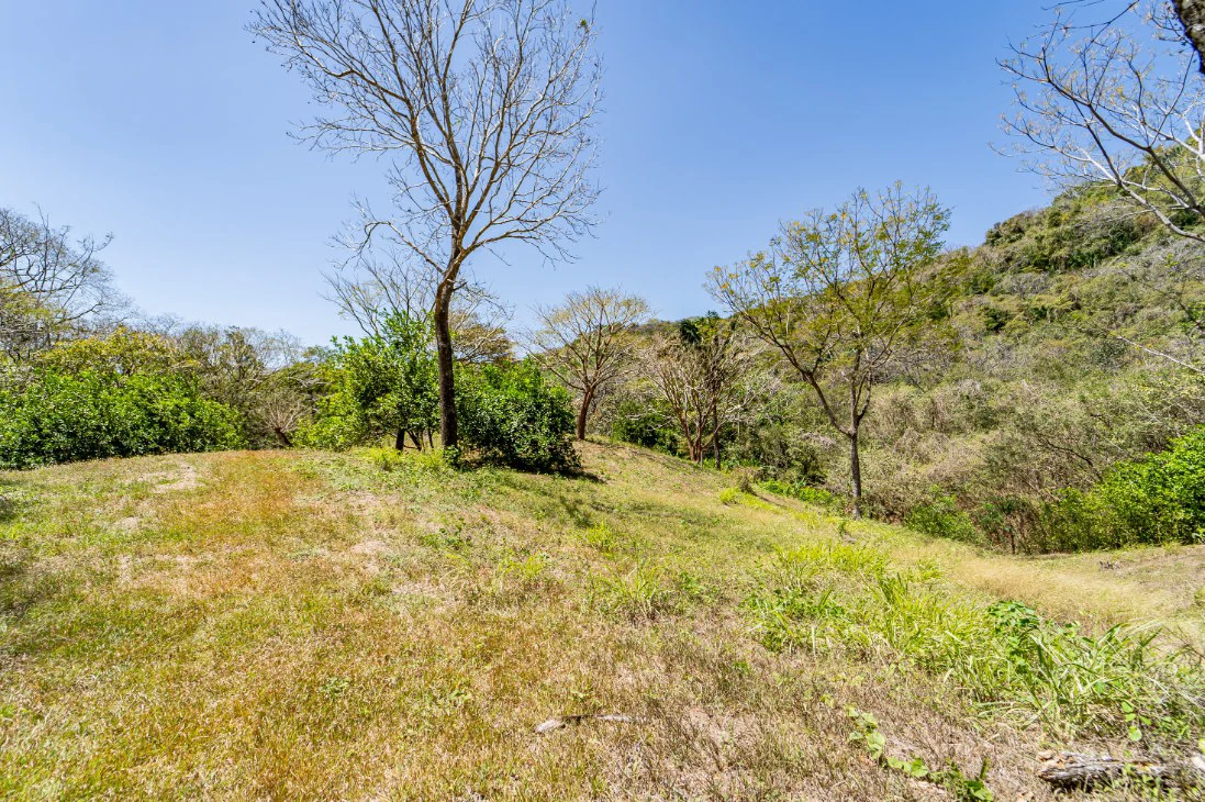 Lote del Bosque: Beautiful Acre Lot in Montaña - Gallery image 4