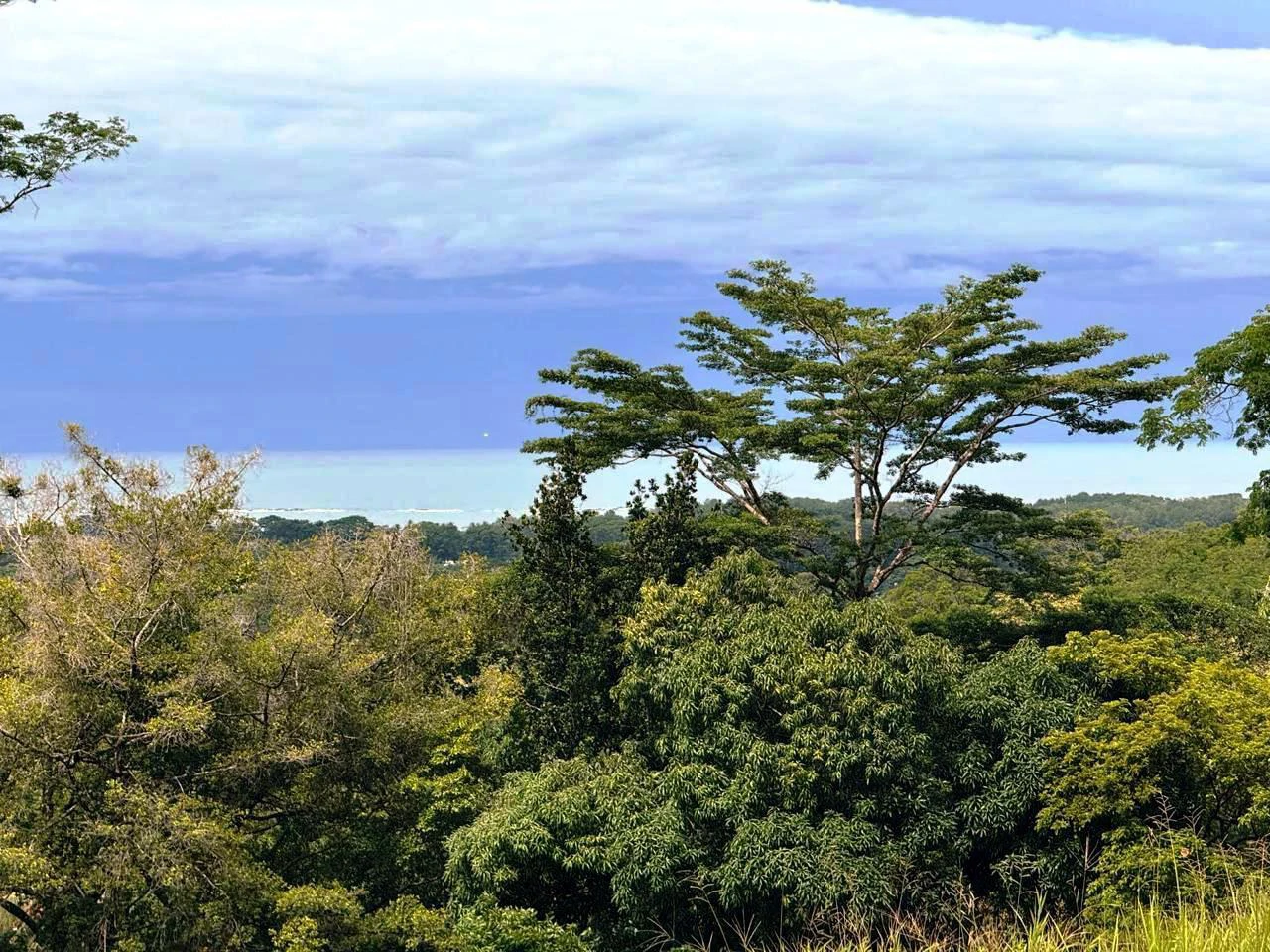Prime Ocean View Development Property in Downtown Uvita - Gallery image 10