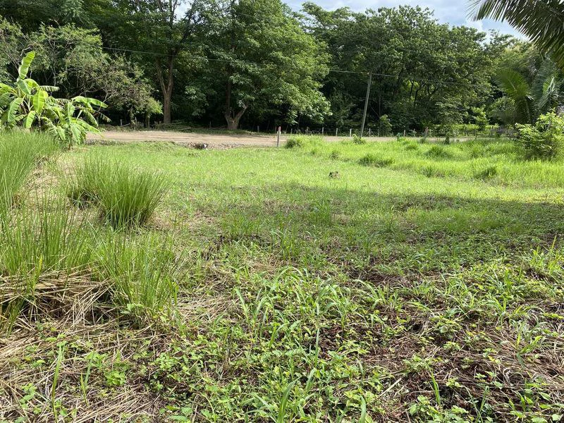 Lote Palmas: Last Affordable Flat Lot in Buena Vista, Just Minutes from Samara Beach - Gallery image 3