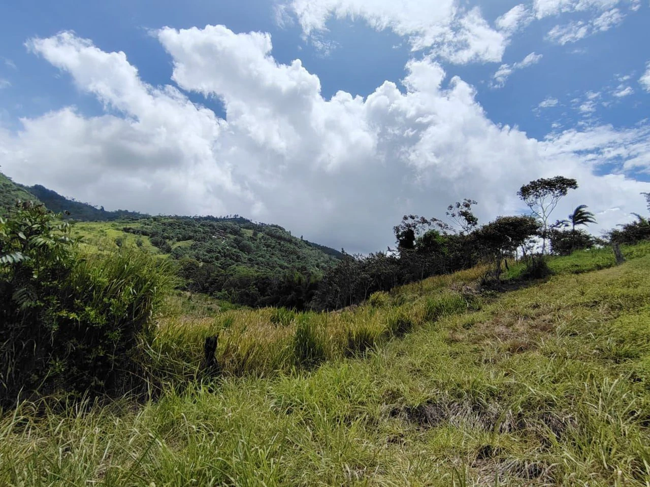 Se vende propiedad de 13494m2 en Rosario Pacuar, Pérez Zeledón.: Countryside Home Construction Site For Sale in El Rosario de Pacuar - Gallery image 5