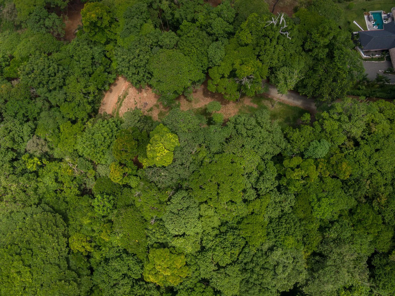 Cabo Matapalo: Jungle View Lot Priced To Sell! - Gallery image 3